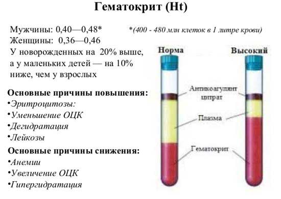 гематокрит в анализе крови