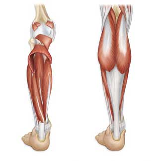 Симптомы варикозного расширения вен на ногах у мужчин thumbnail