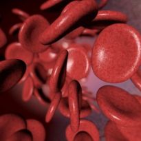 Норма эритроцитов в крови у женщин снижены thumbnail
