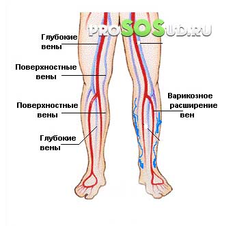 ток крови в ногах